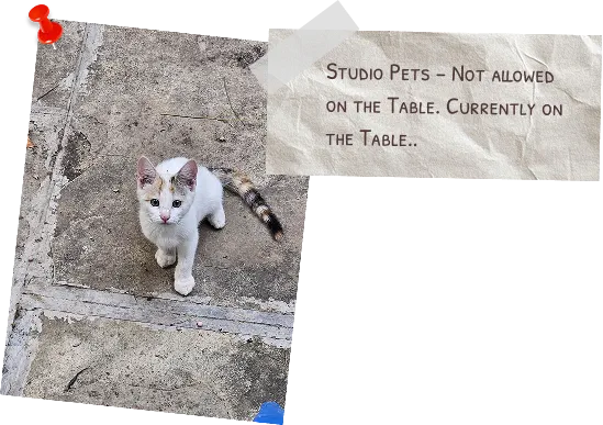 Team Board - Studio Pets